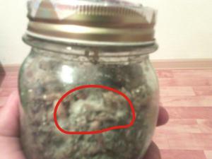 post-34107-0-70374800-1412355340_thumb.j