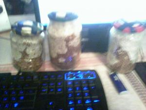 post-35920-0-71300300-1446186251_thumb.j