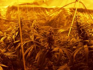 post-40057-0-54232600-1444056782_thumb.j