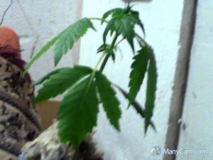 post-42930-0-11582600-1445510771_thumb.j