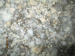 post-44988-0-77653600-1444874026_thumb.j