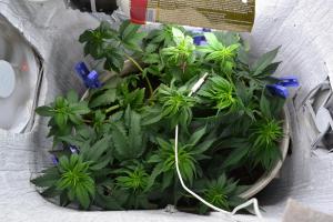 post-26944-0-62759300-1416135335_thumb.j