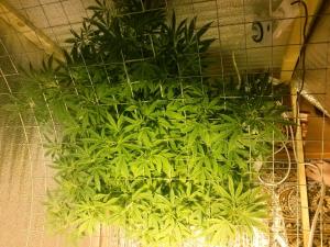 post-30138-0-52311700-1415483702_thumb.j