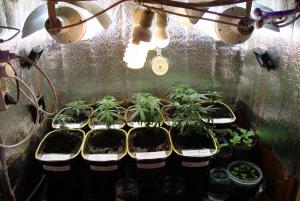 post-44680-0-14875200-1448192836_thumb.j