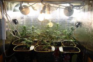 post-44680-0-72324900-1448210974_thumb.j