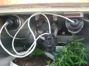 post-15481-0-66557600-1386930539_thumb.j