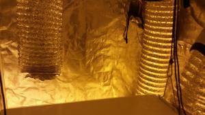 post-27489-0-07267900-1417435062_thumb.j