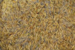 post-39559-0-01708800-1448993658_thumb.j