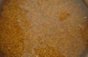 post-39559-0-62188600-1448993654_thumb.j