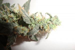 post-44680-0-10735400-1449343709_thumb.j