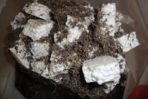 post-44680-0-87710800-1449343748_thumb.j