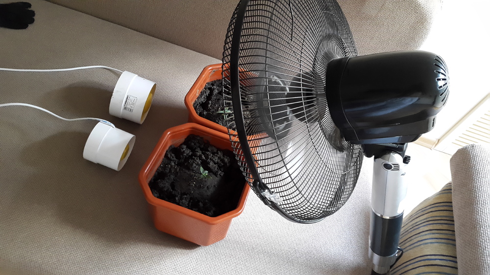 20160721_173019.jpg