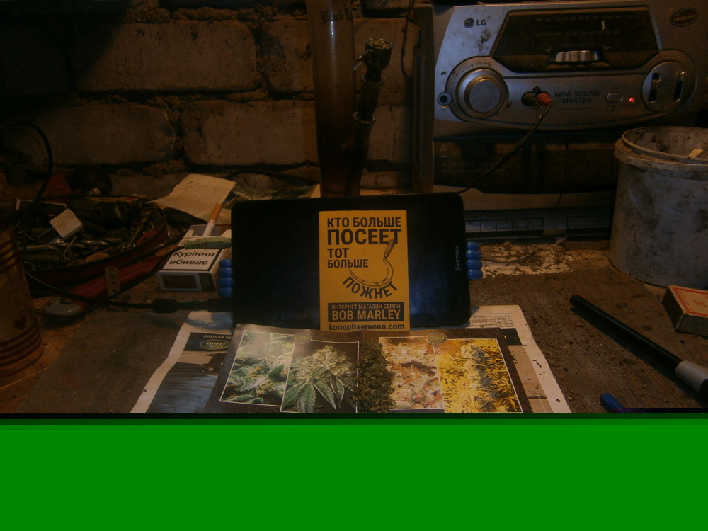 P1010006.JPG