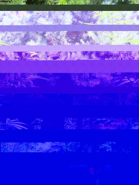 IMG-0078.JPG