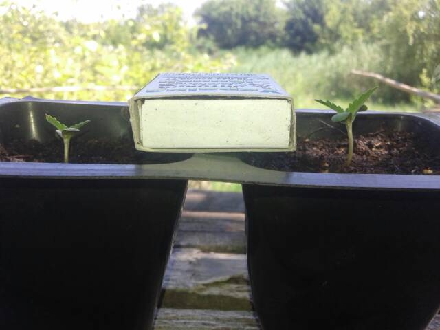 uploadfromtaptalk1468581461589.jpg.f8c16