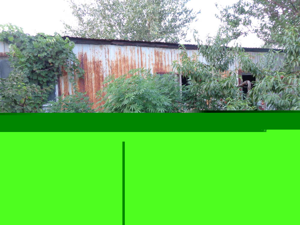 DSC08618.JPG