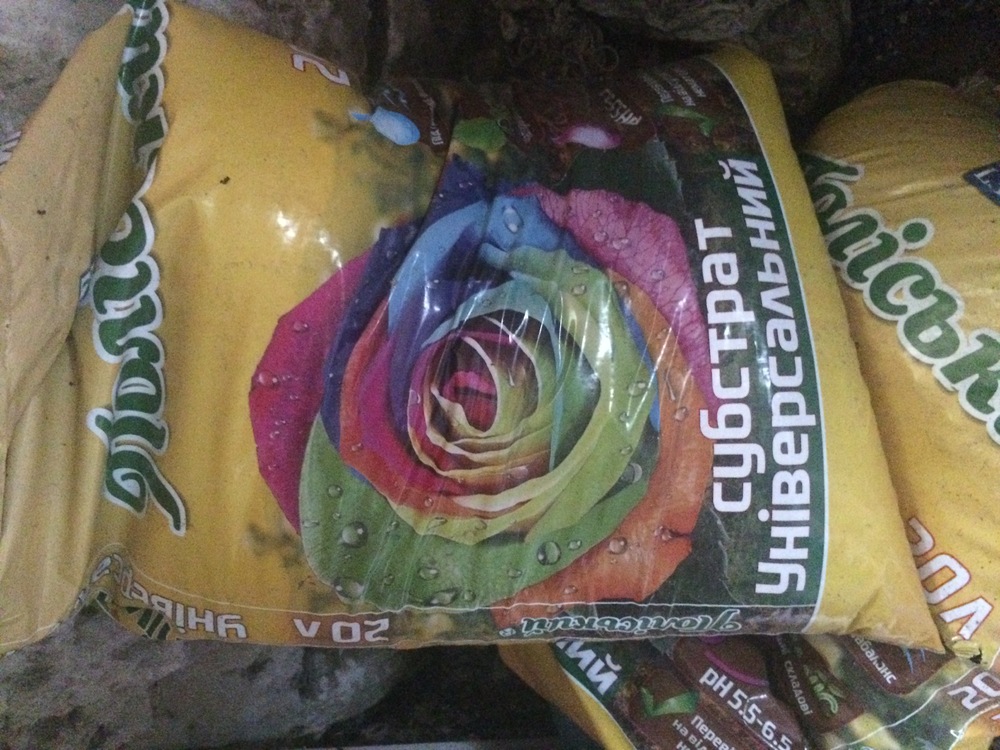 image.jpeg