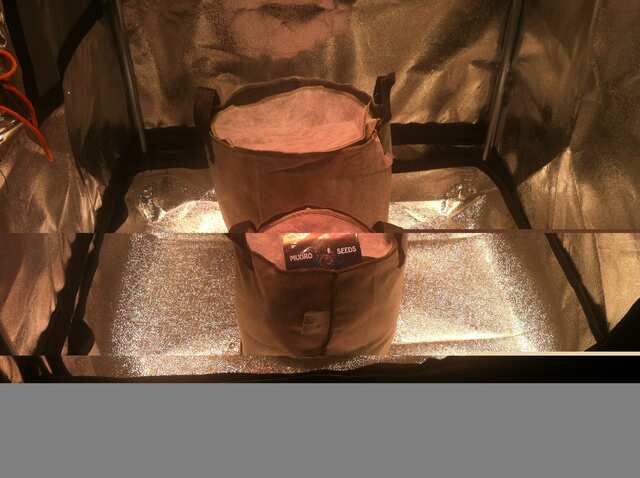 Mudro pot 5 и 10л...