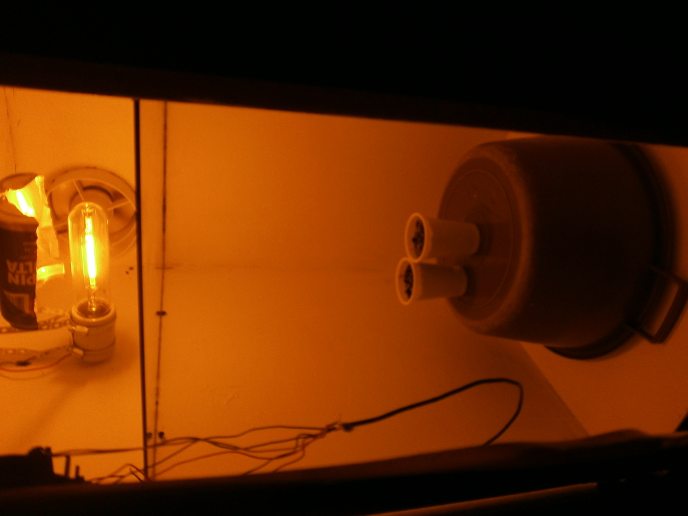 P9200006.JPG