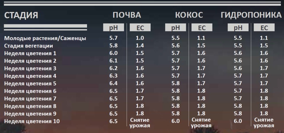 Ph на цветение конопли купить марихуану на филиппинах