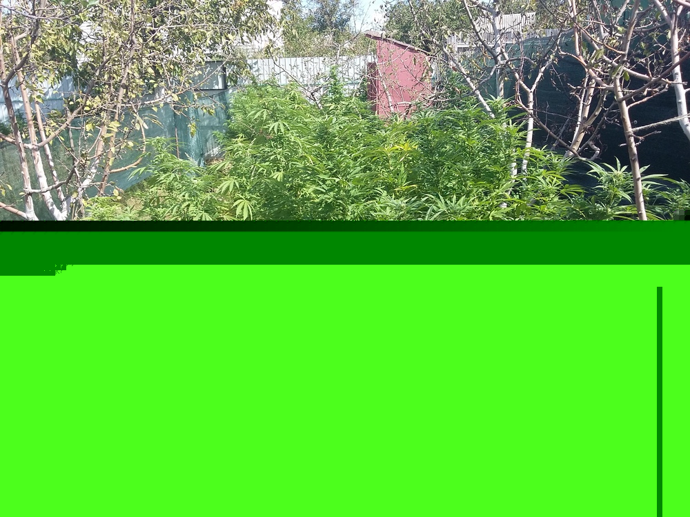 20160918_114503.jpg