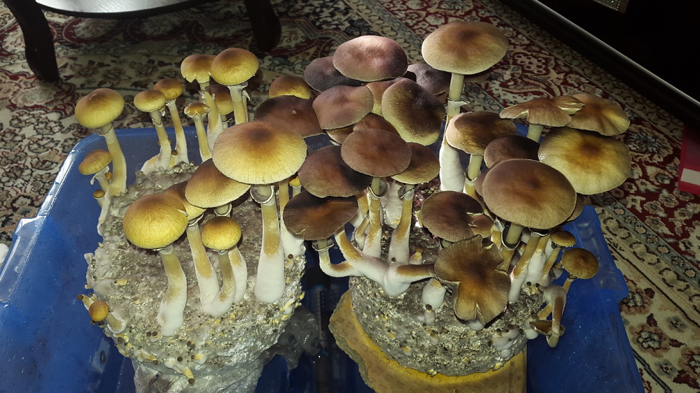 20161001_092157.jpg