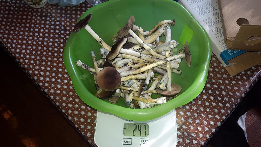 20161001_095955.jpg
