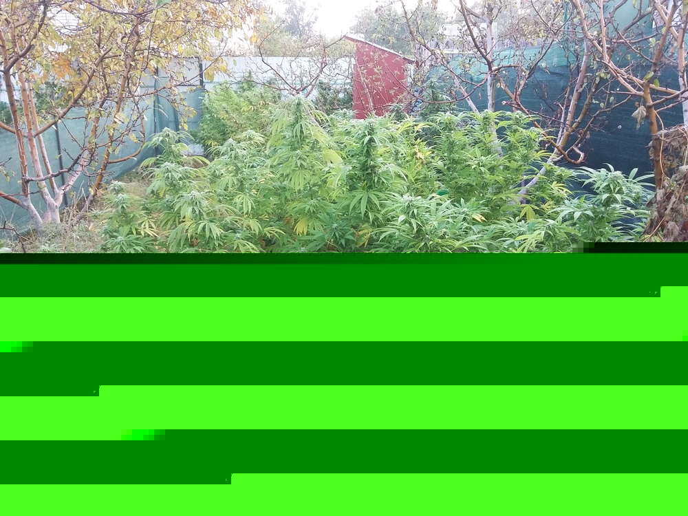 20161002_072420.jpg