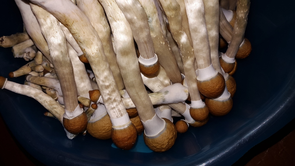 20161012_042531.jpg