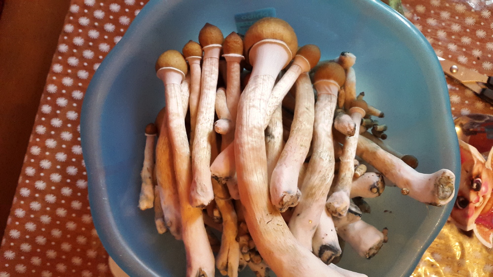 20161021_122921.jpg
