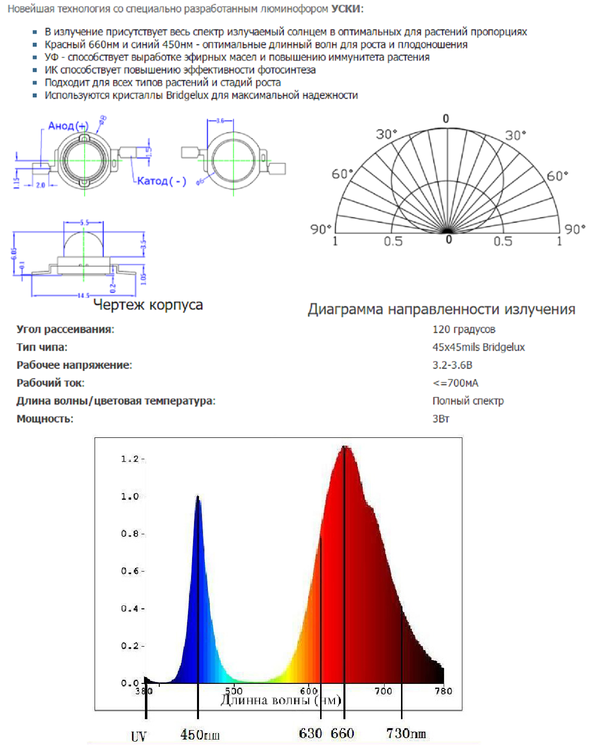 Безымянный.png