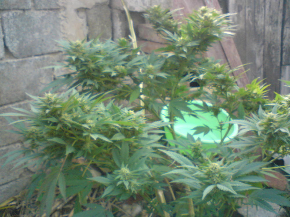 DSC00111.JPG