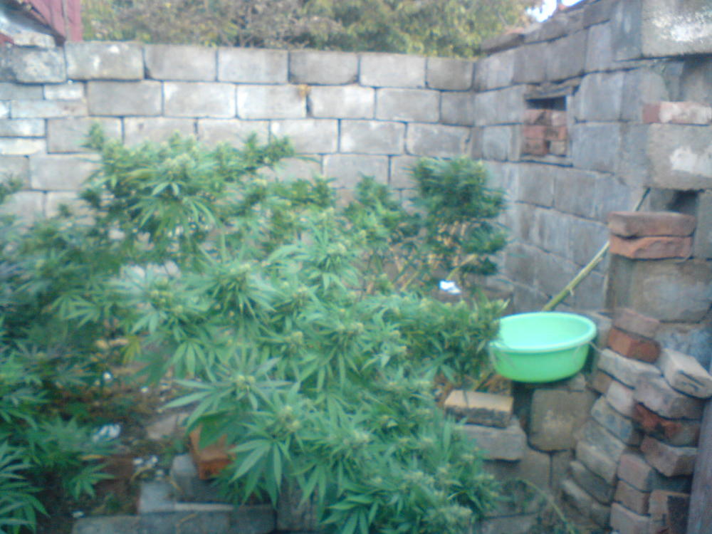 DSC00117.JPG