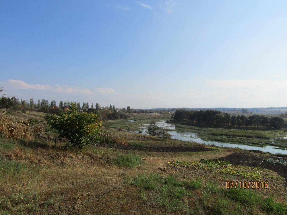 IMG_0960.JPG