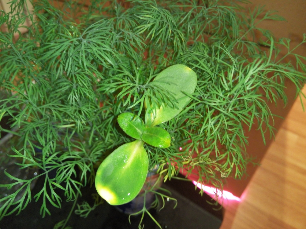 P61022-170921.jpg