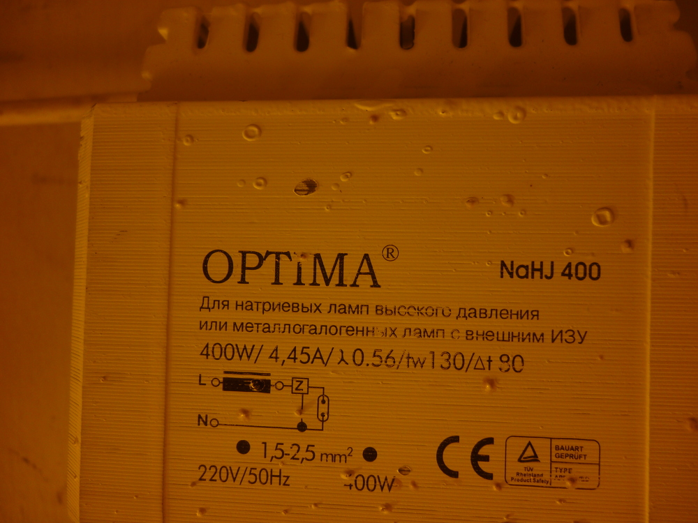 P1050741.JPG