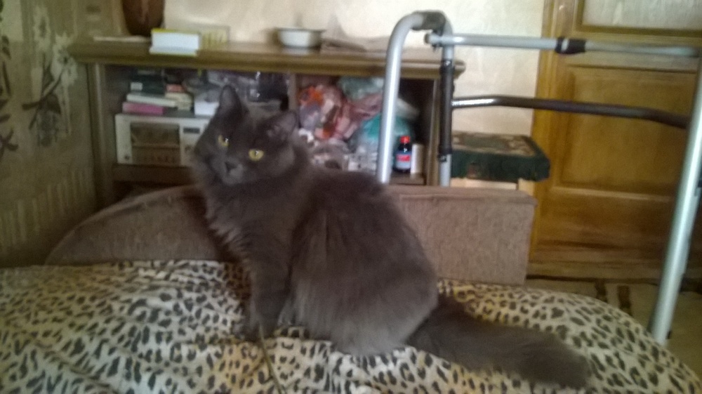 WP_20160216_021-1.jpg