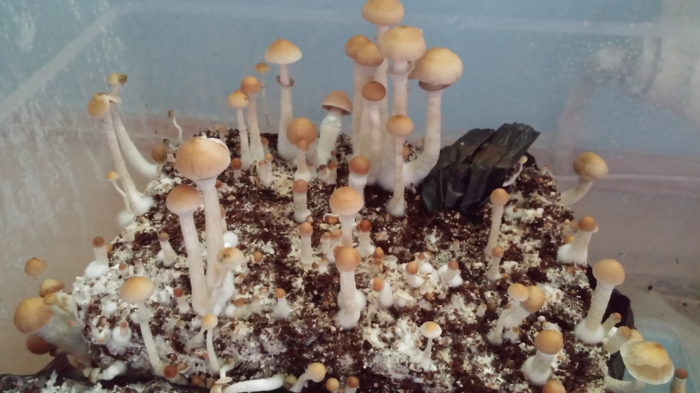 20161210_101428.jpg