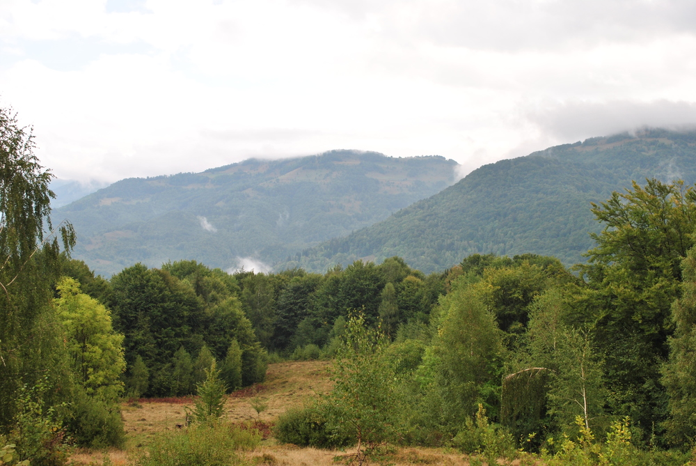 Изображение 021.jpg