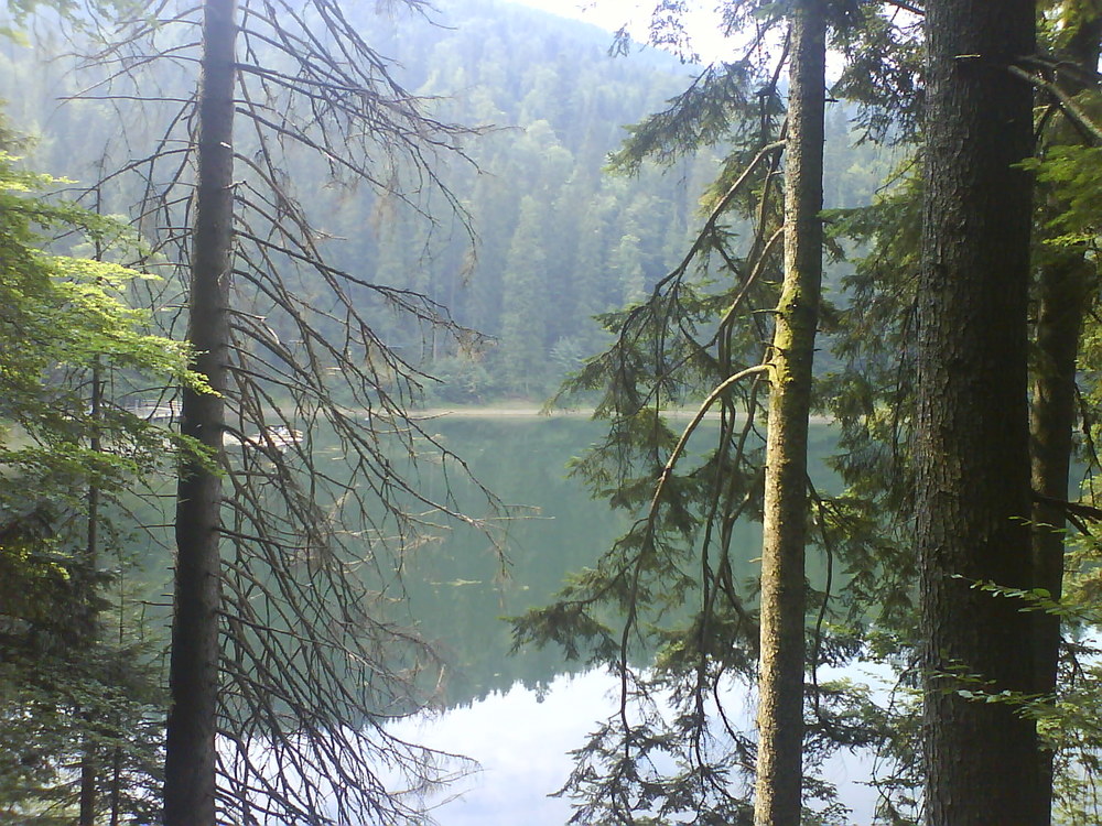 Изображение1 052.jpg