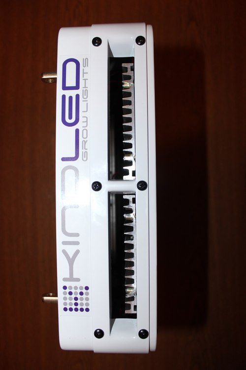 BpKieBYUyI8.jpg