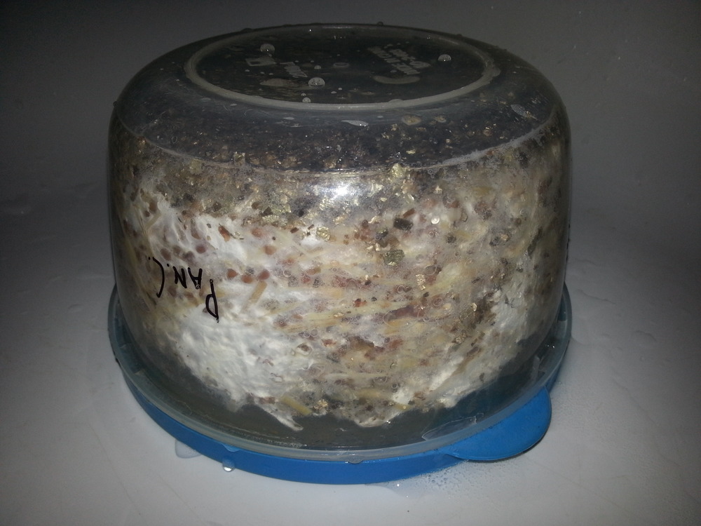 20170126_153955.jpg