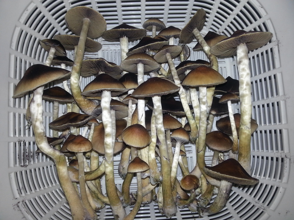 20170131_223427.jpg