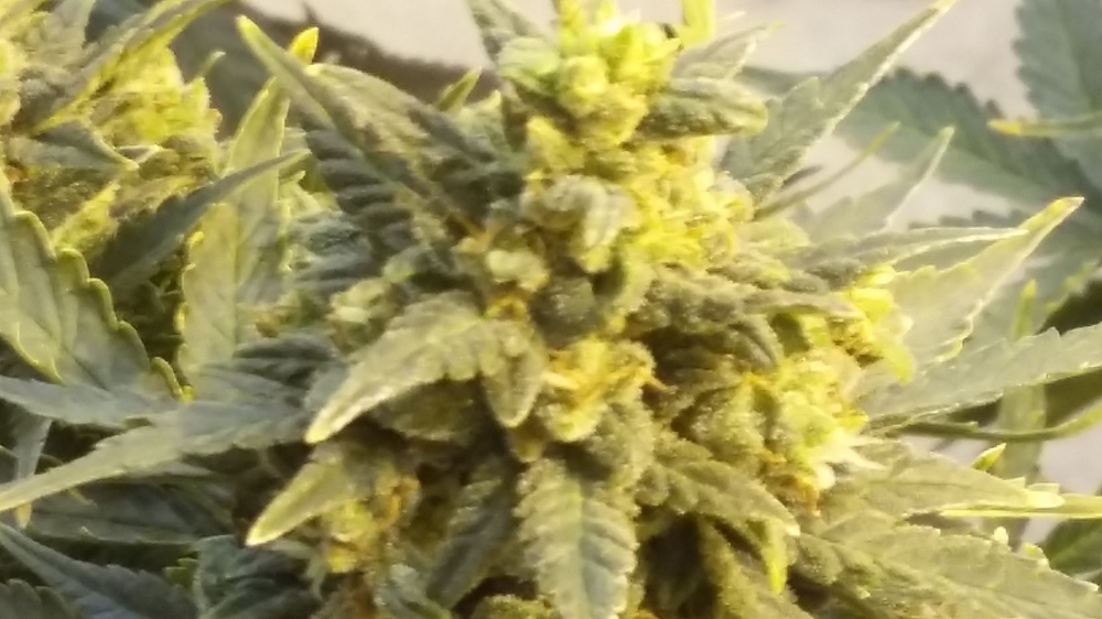 20170226_100359.jpg