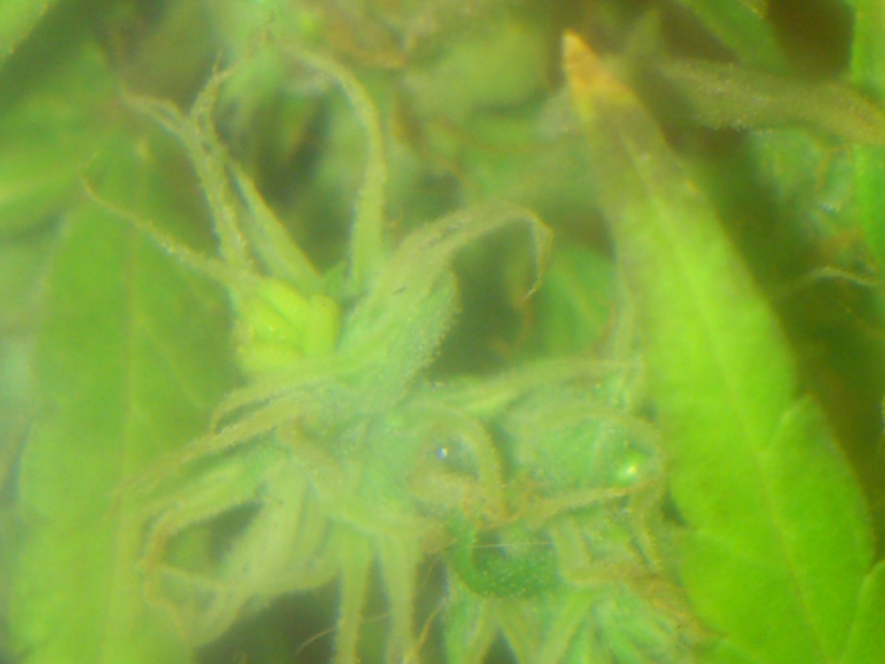 DSC_3572.jpg