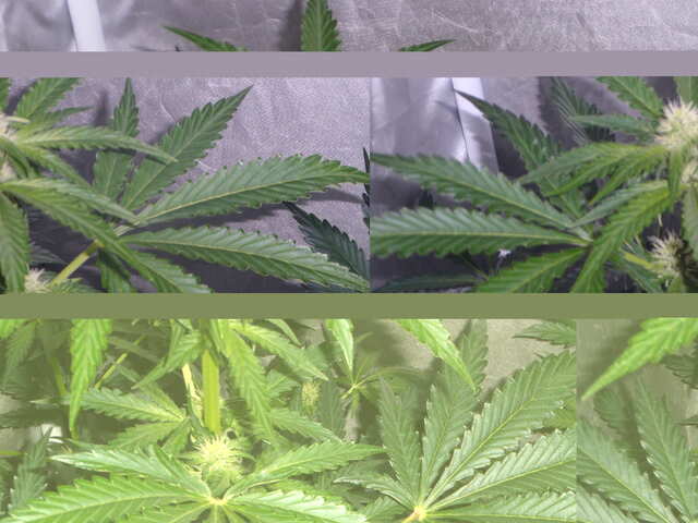 утро 32 дня six shooter