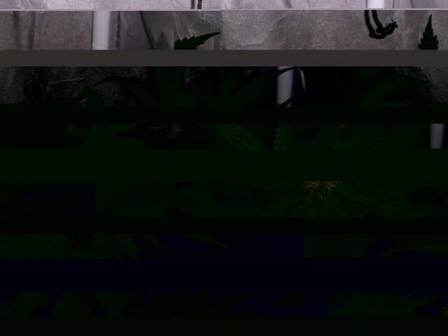 утро 32 дня six shooter