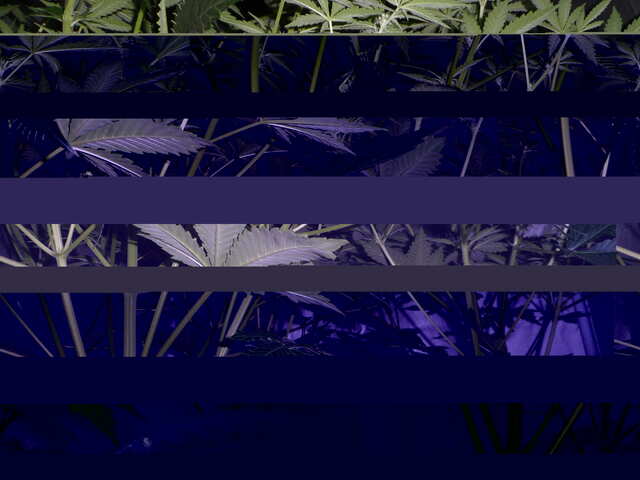 утро 32 дня six shooter