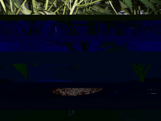 утро 32 дня six shooter