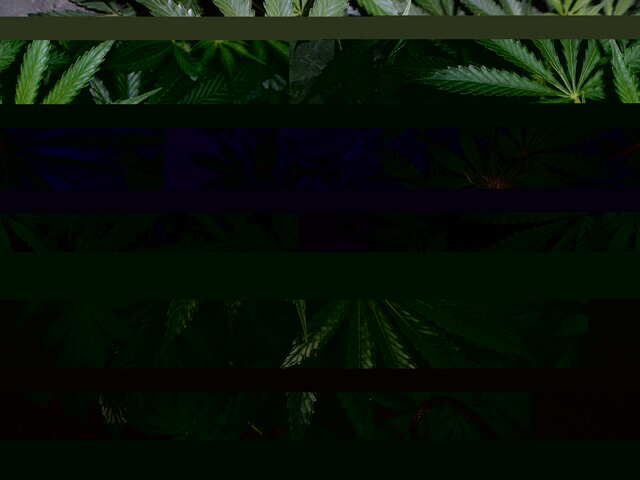 утро 32 дня six shooter